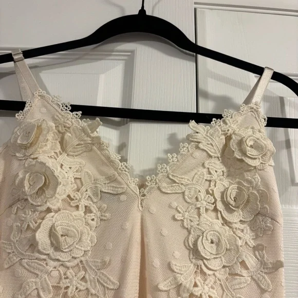 Entry Ivory Embroidered Maxi Dress with Sheer Polka Dot Overlay - Picture 7 of 15